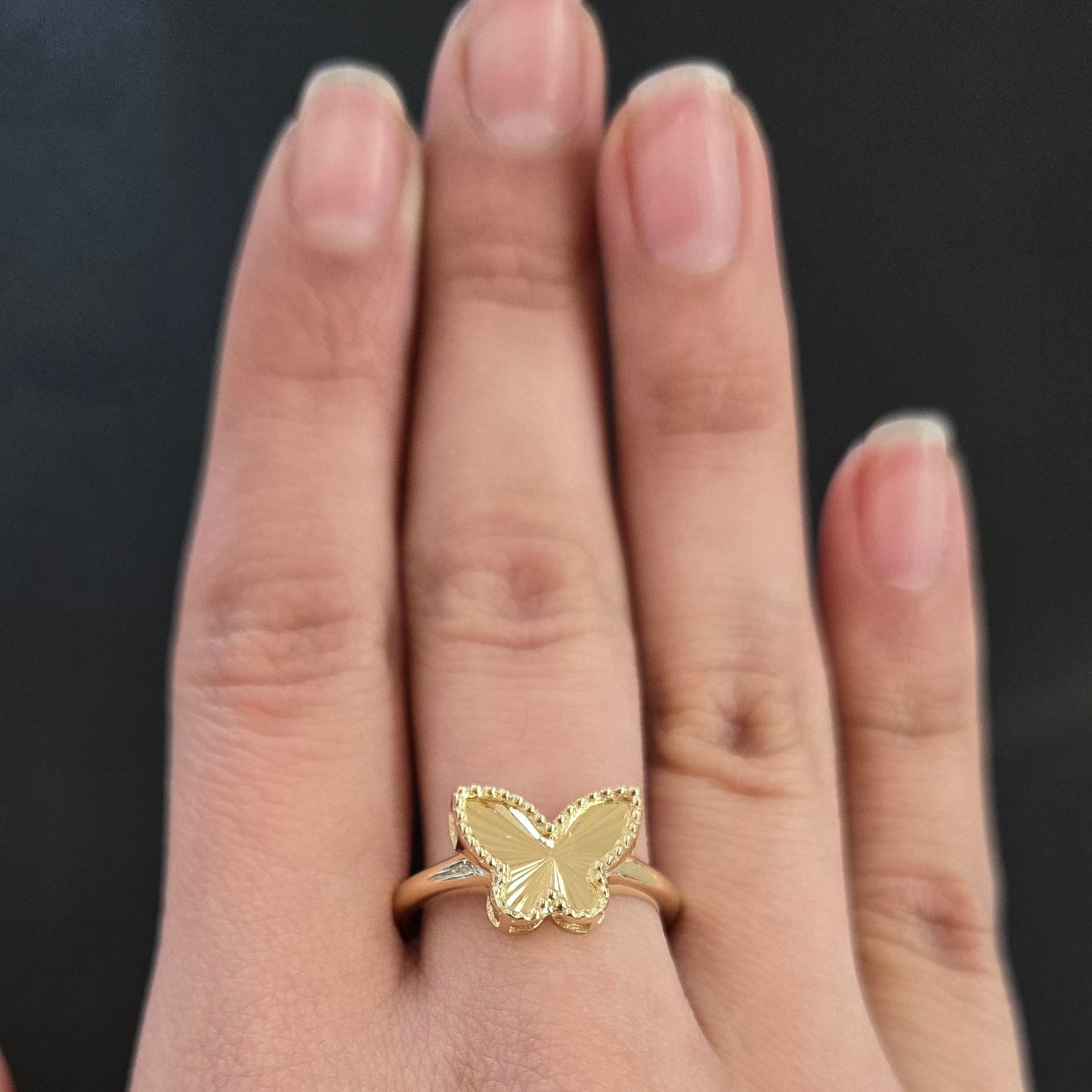 10k Gold Butterfly Set,  Matching Set, Butterfly Ring, Butterfly Charm, Butterfly Earrings, Gifts for her, Birthday Gift Set, Gold Butterfly